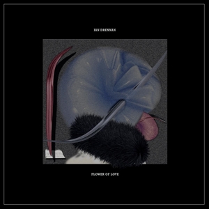 CD Shop - IAN DRENNAN FLOWER OF LOVE