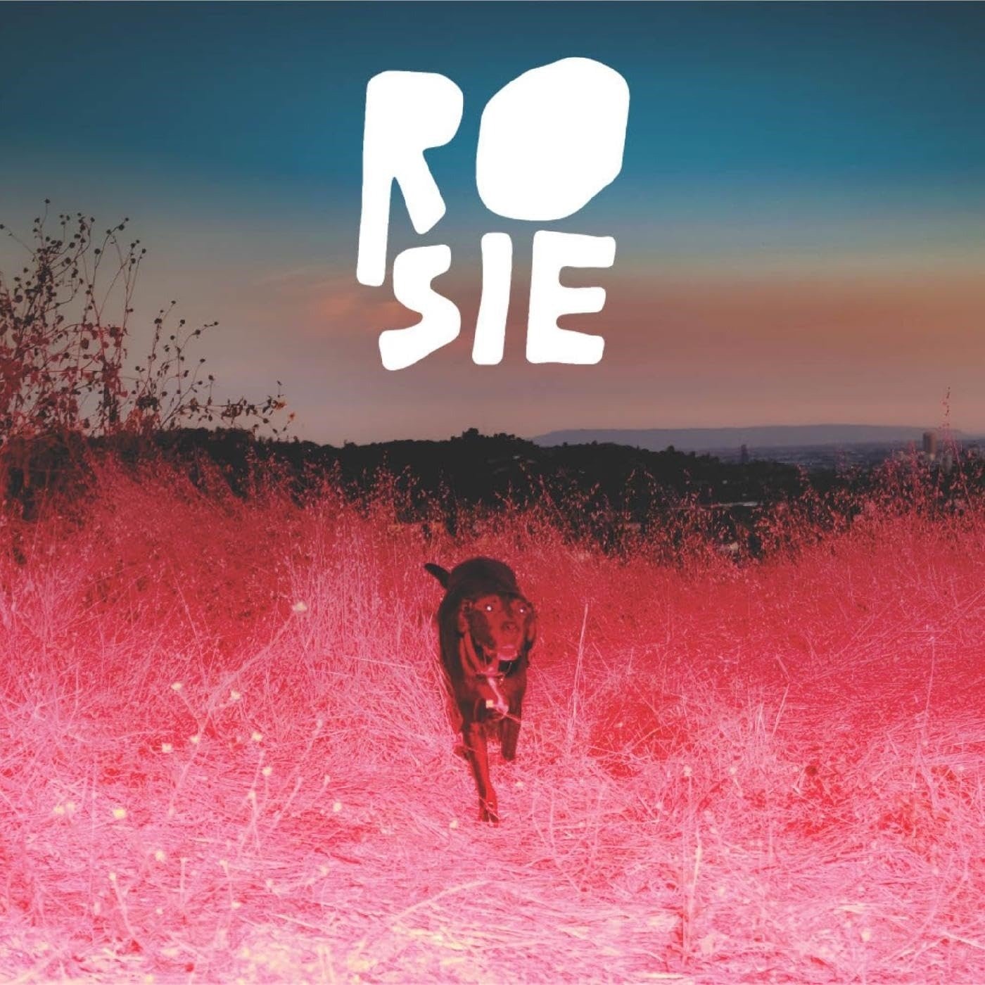 CD Shop - KAYCIE SATTERFIELD ROSIE