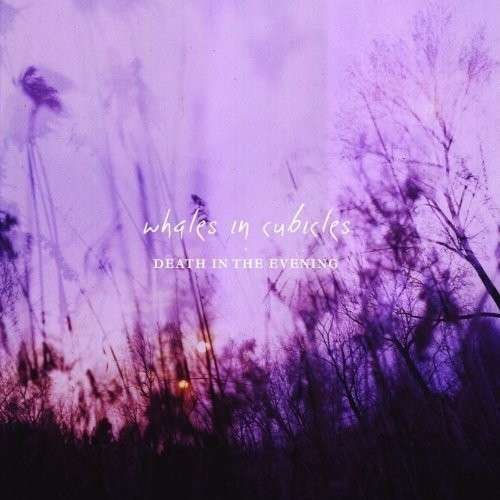 CD Shop - WHALES IN CUBICLES DEATH IN THE EVENING