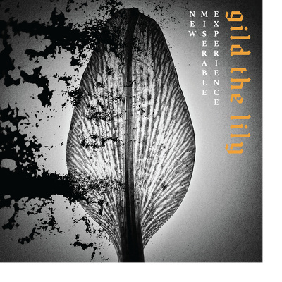 CD Shop - NEW MISERABLE EXPERIENCE GILD THE LILY
