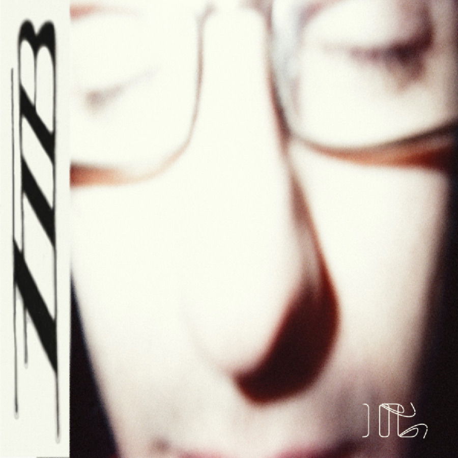 CD Shop - FIB HEAVY LIFTING