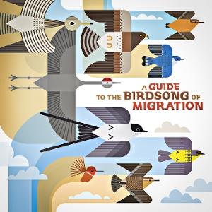 CD Shop - VARIOUS ARTISTS A GUIDE TO THE BIRDSON...