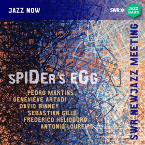 CD Shop - PEDRO MARTINS SPIDER\