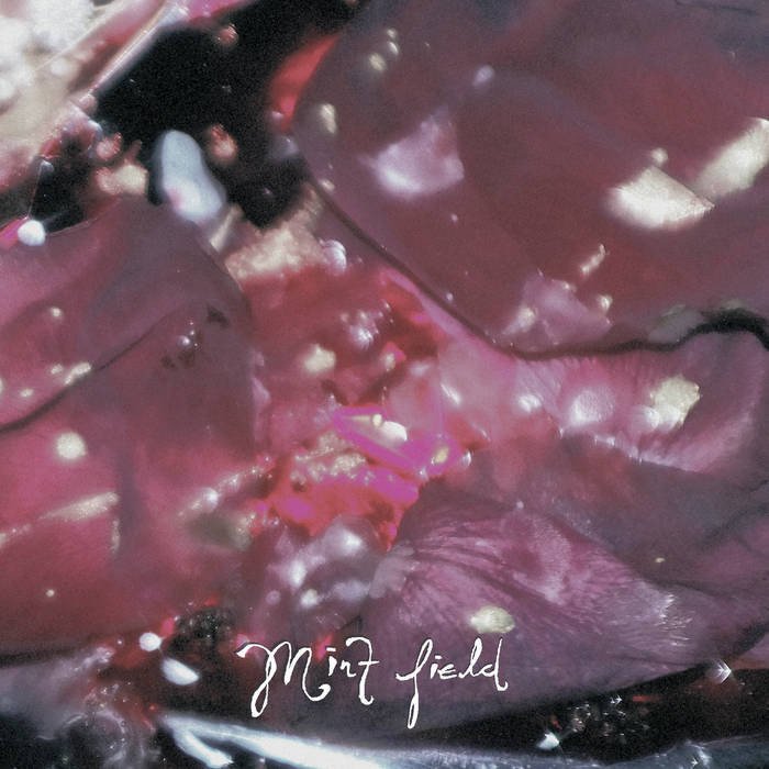 CD Shop - MINT FIELD APRENDER A SER (FRUIT ...
