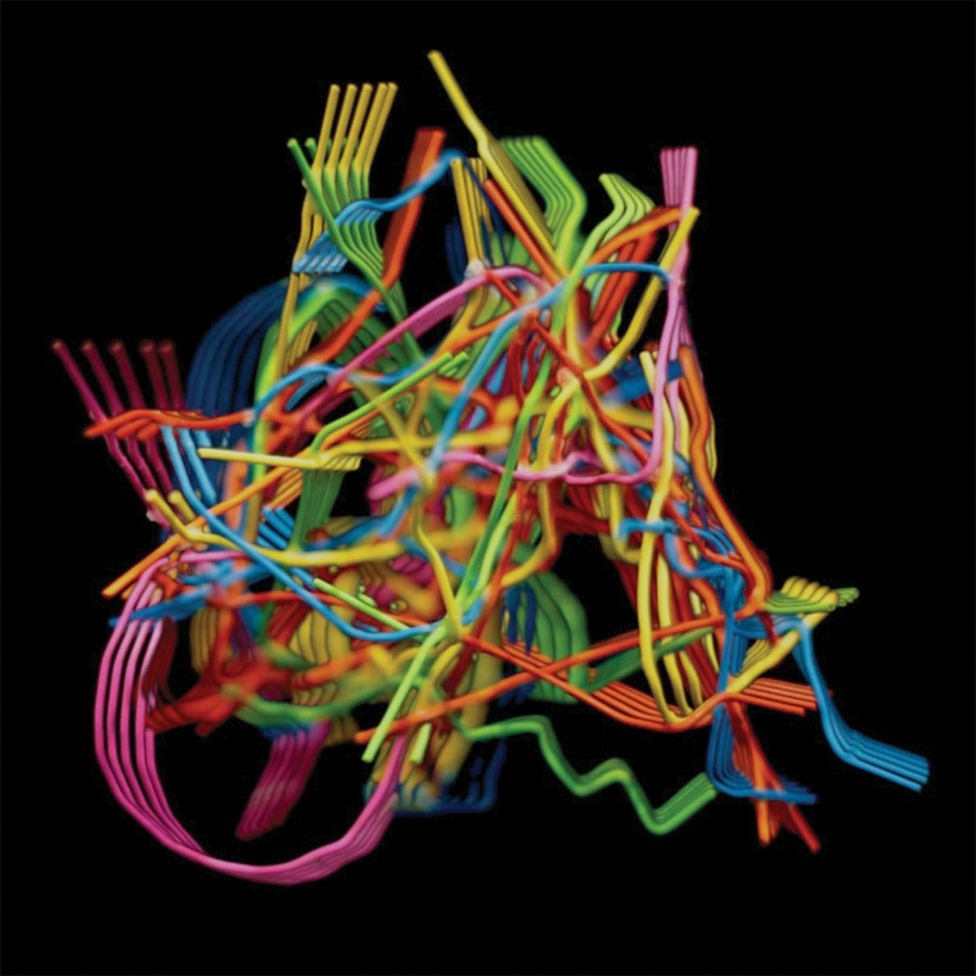 CD Shop - DUSTIN WONG PERPETUAL MORPHOSIS