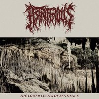 CD Shop - ASTRIFERIOUS LOWER LEVELS OF.. -MCD-