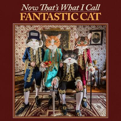 CD Shop - FANTASTIC CAT NOW THAT\