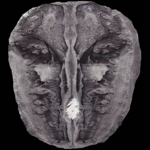 CD Shop - IRMLER DIE GESAENGE DES MALDOROR