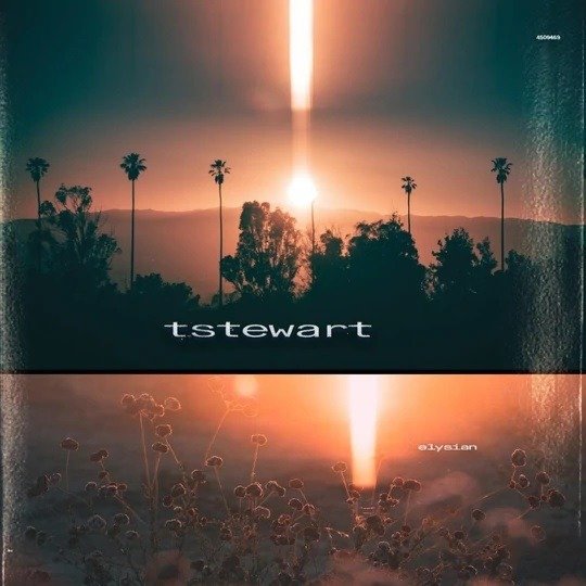 CD Shop - MACHINEDRUM TSTEWART ELYSIAN
