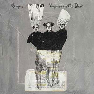 CD Shop - BARZIN VOYEURS IN THE DARK