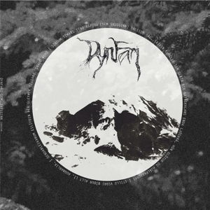 CD Shop - DYNFARI SEM SKUGGINN