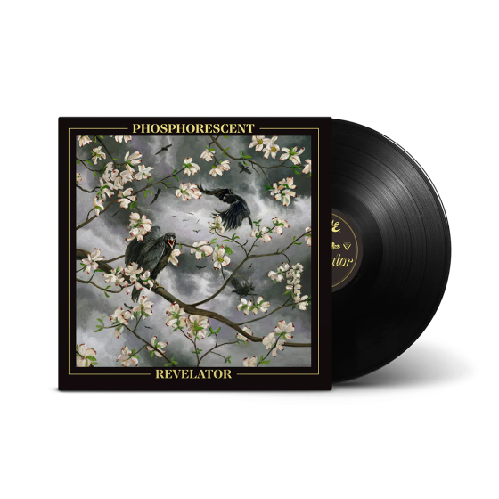 CD Shop - PHOSPHORESCENT REVELATOR
