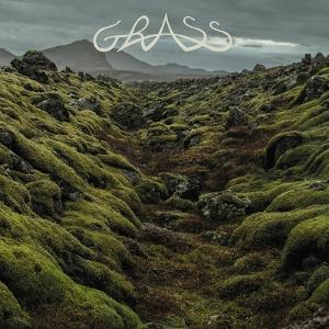 CD Shop - GRASS GRASS
