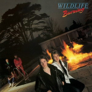 CD Shop - WILDLIFE BURNING