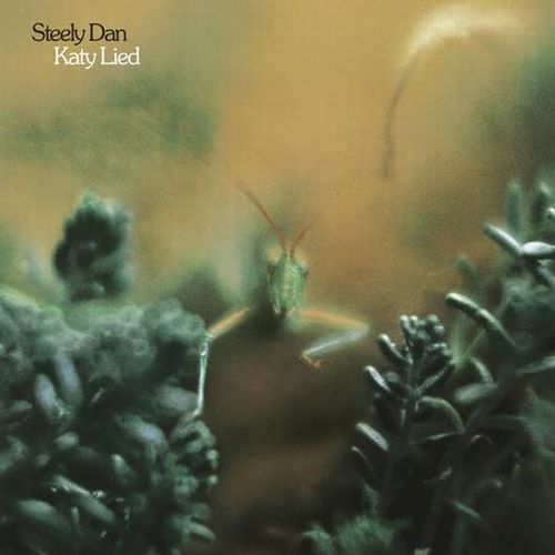 CD Shop - STEELY DAN KATY LIED
