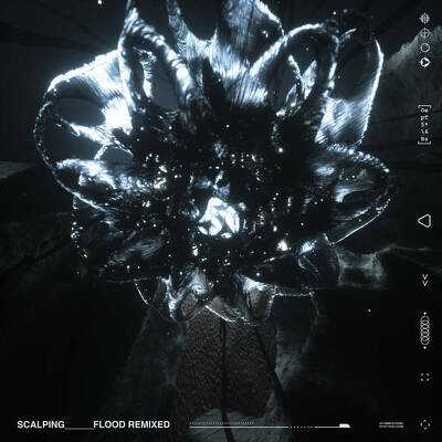 CD Shop - SCALPING FLOOD REMIXED