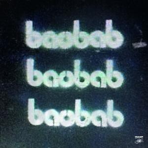 CD Shop - BAOBAB BAOBAB