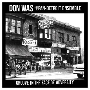 CD Shop - DON WAS GROOVE IN THE FACE OF ...