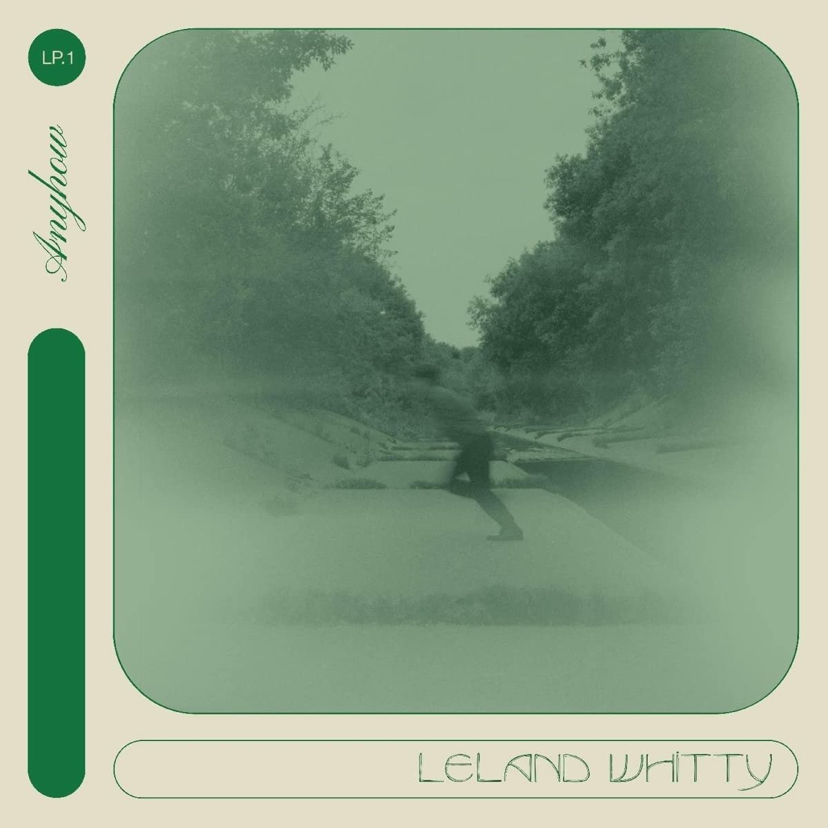 CD Shop - LELAND WHITTY ANYHOW