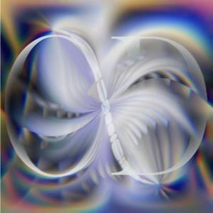 CD Shop - DASKAL OD
