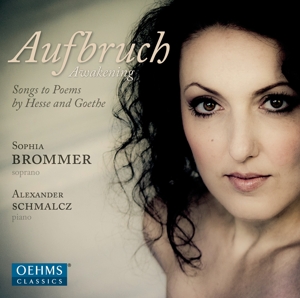 CD Shop - S. BROMMER AUFBRUCH