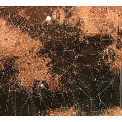 CD Shop - SURFACE 10 A STRAY ENDING