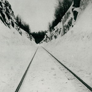 CD Shop - MICROTUB THIN PEAKS