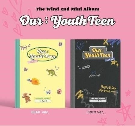 CD Shop - THE WIND OUR: YOUTHTEEN