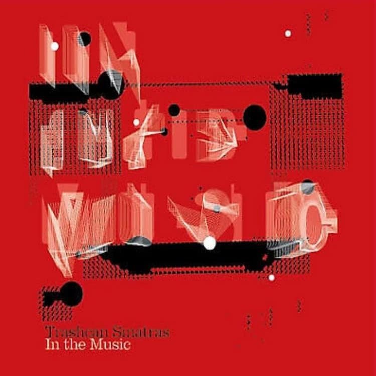 CD Shop - TRASHCAN SINATRAS IN THE MUSIC