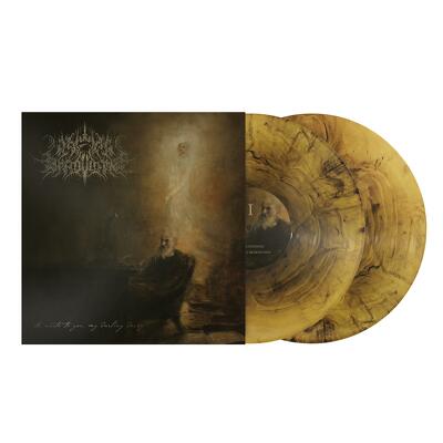 CD Shop - A WAKE IN PROVIDENCE I WRITE TO YOU, MY DAR...