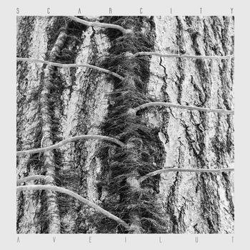 CD Shop - SCARCITY AVEILUT