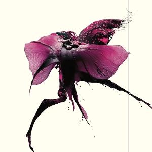 CD Shop - NANACO SATO LUST