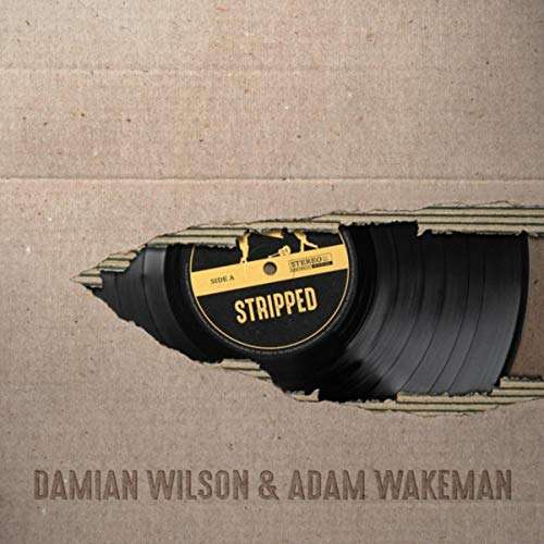 CD Shop - DAMIAN WILSON STRIPPED