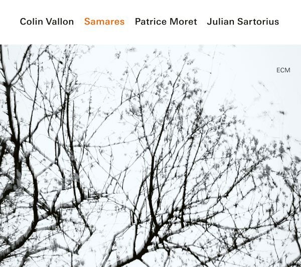 CD Shop - COLIN VALLON,PATRICE MORET,JULIAN SARTORIUS SAMARES