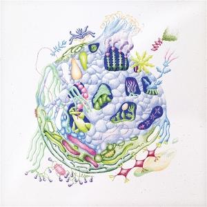 CD Shop - DAVID EDREN BINNENIN