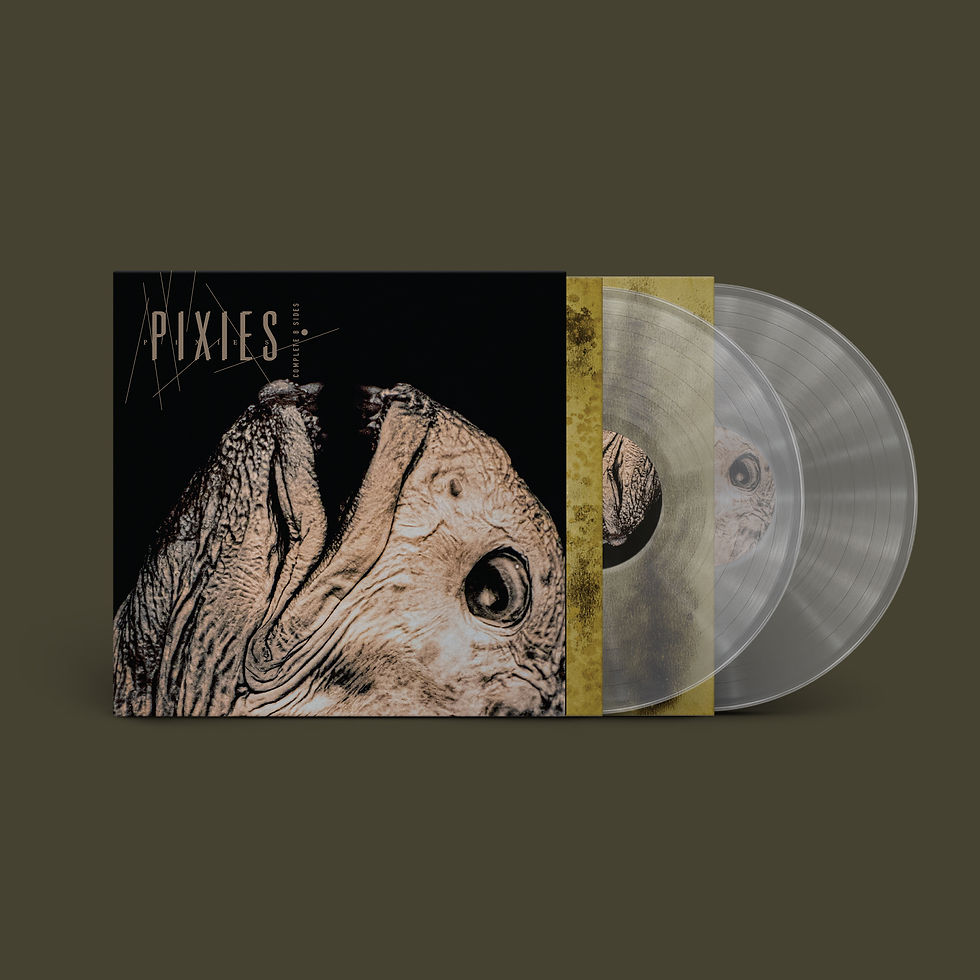 CD Shop - PIXIES COMPLETE B-SIDES: 1988-97