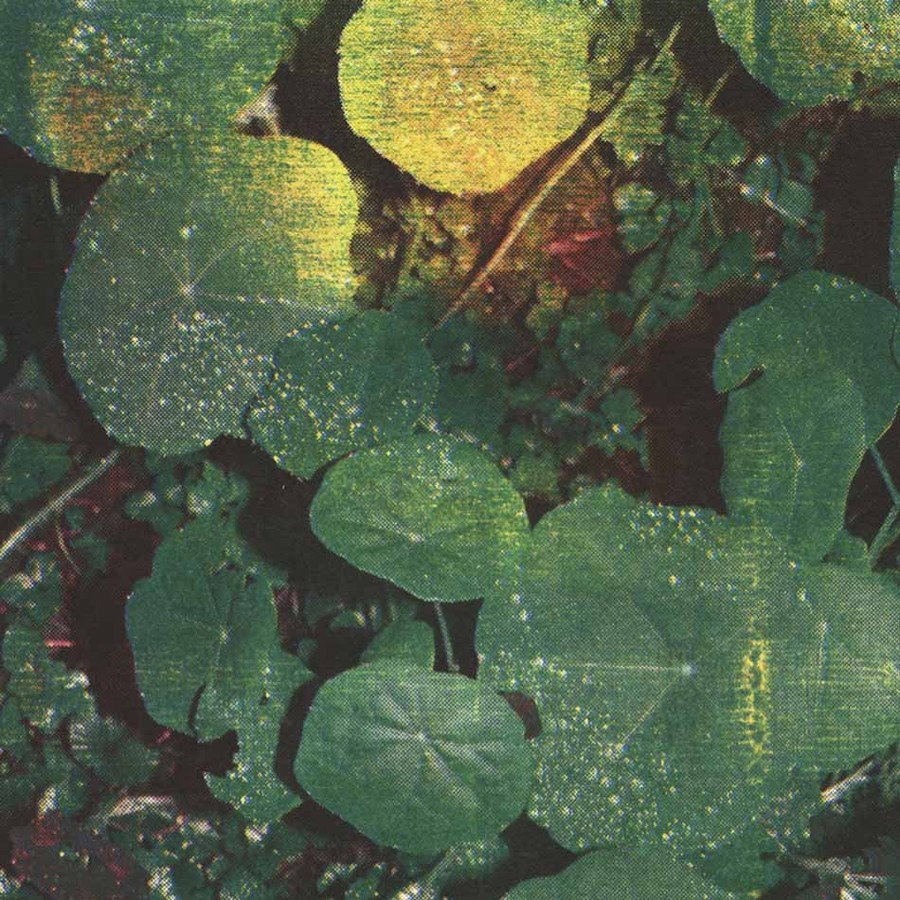 CD Shop - WHOMAN ABOUT HONEY