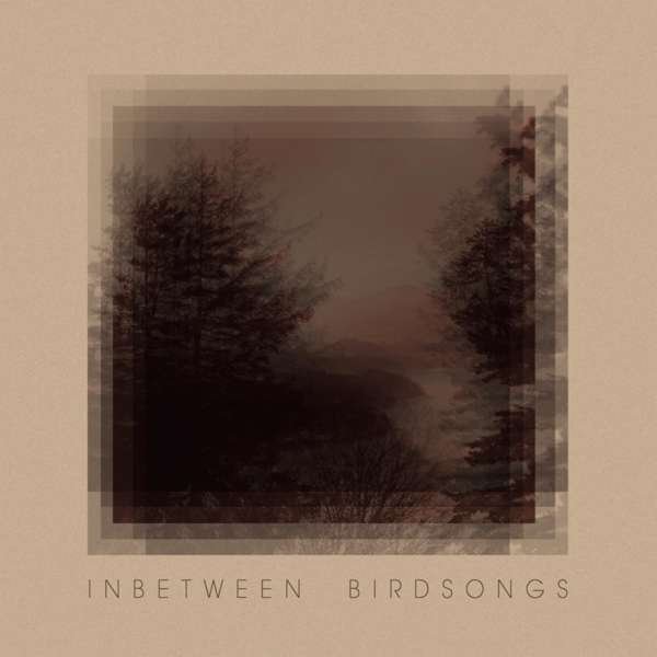 CD Shop - MATTHIAS GUSSET INBETWEEN BIRDSONGS