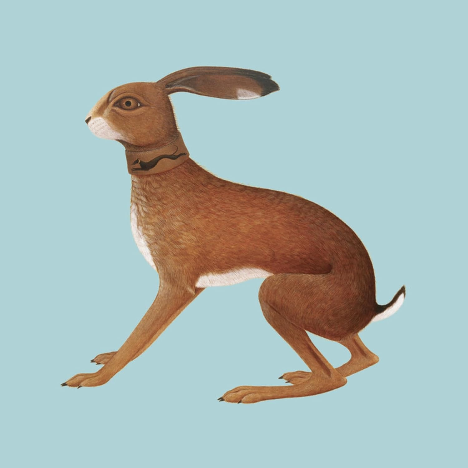 CD Shop - VASHTI BUNYAN LOOKAFTERING