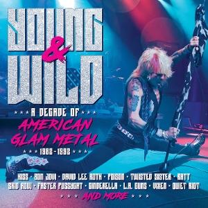 CD Shop - VARIOUS ARTISTS YOUNG AND WILD - A DEC...