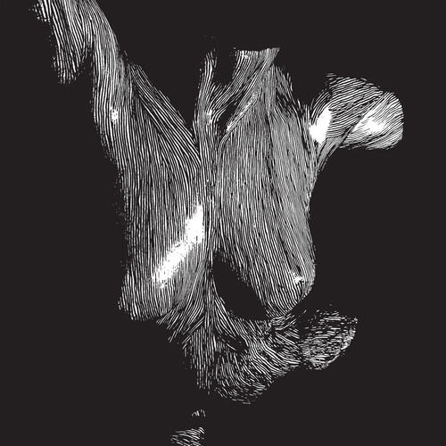 CD Shop - OCEANSIZE SELF PRESERVED WHILE THE BOD