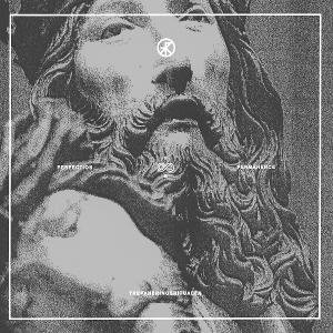 CD Shop - TREPANERINGSRITUALEN PERFECTION & PERMA...