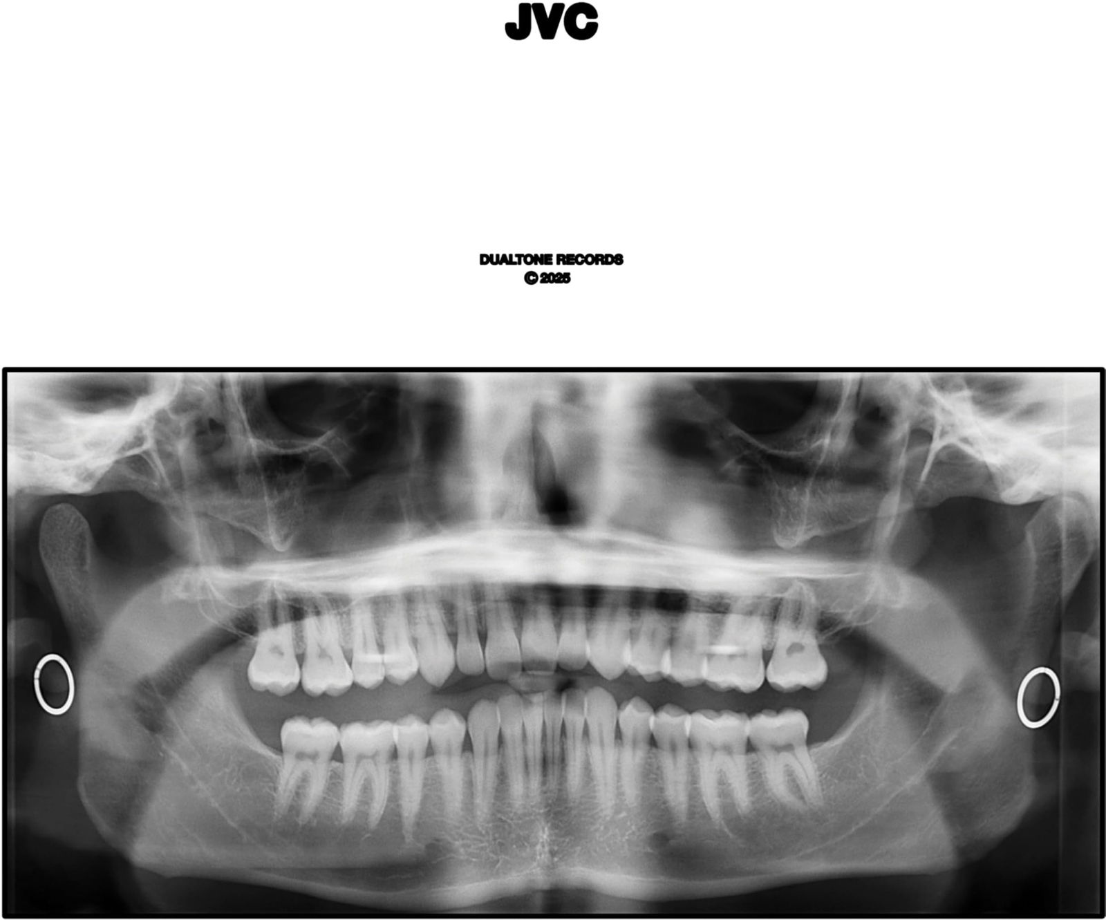 CD Shop - JACK VAN CLEAF JVC