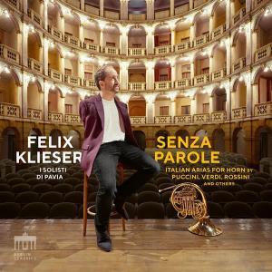 CD Shop - FELIX KLIESER SENZA PAROLE