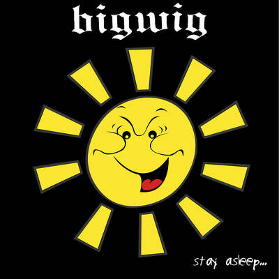 CD Shop - BIGWIG STAY ASLEEP