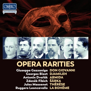 CD Shop - VARIOUS OPERA RARITIES -BOX SET-