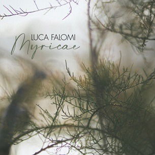 CD Shop - LUCA FALOMI MYRICAE