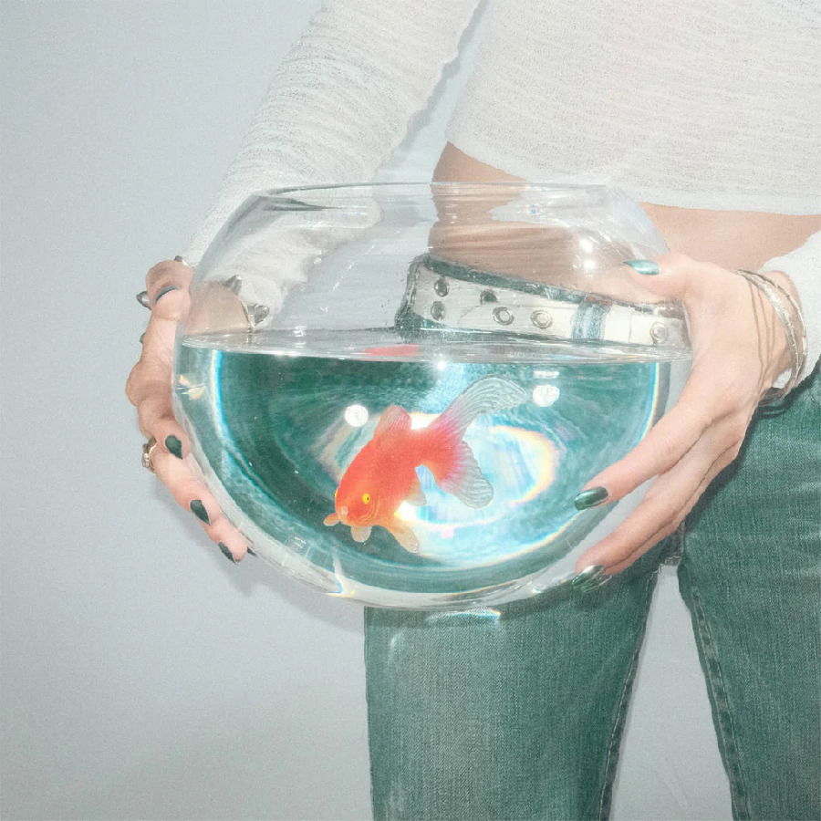CD Shop - FISH NARC FROG SONG