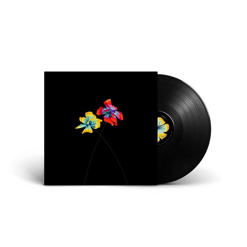 CD Shop - DIODATO COSI SPECIALE