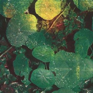 CD Shop - WHOMAN ABOUT HONEY